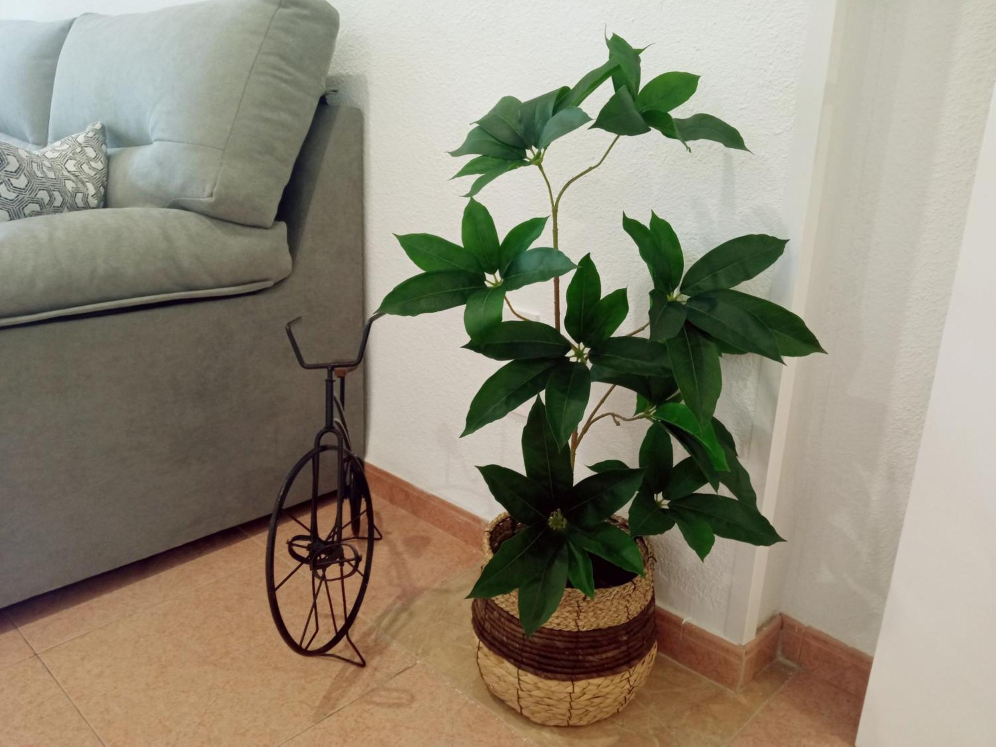 Apartamento Los Jardines De La Magdalena Cordoba Ngoại thất bức ảnh